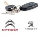 Peugeot y Citroën PSA