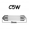 C5W - 36MM